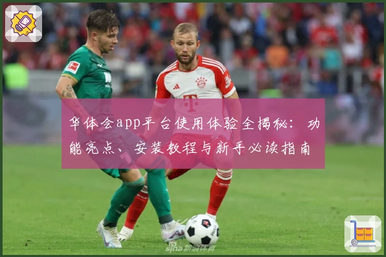 华体会app平台使用体验全揭秘：功能亮点、安装教程与新手必读指南